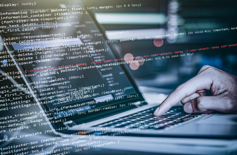 Muhasina Mujeeb working on web development and technical writing projects